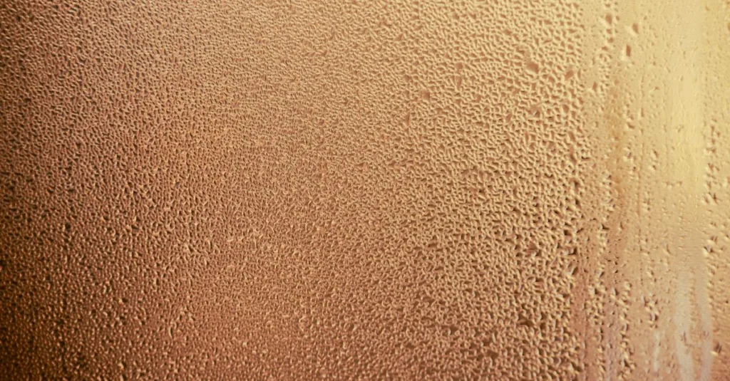 découvrez comment rénover une pièce humide et lutter efficacement contre la condensation pour un intérieur sain et durable.